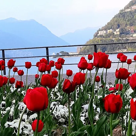 Casa Patricia3 - - Centro Storico Lägenhet *